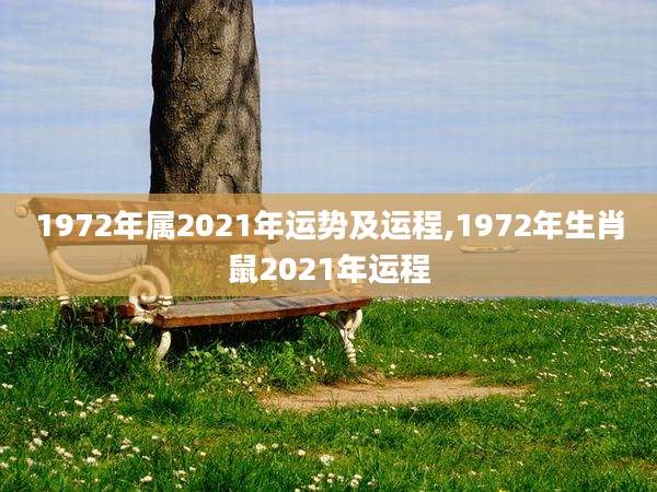 1972年属2021年运势及运程,1972年生肖鼠2021年运程