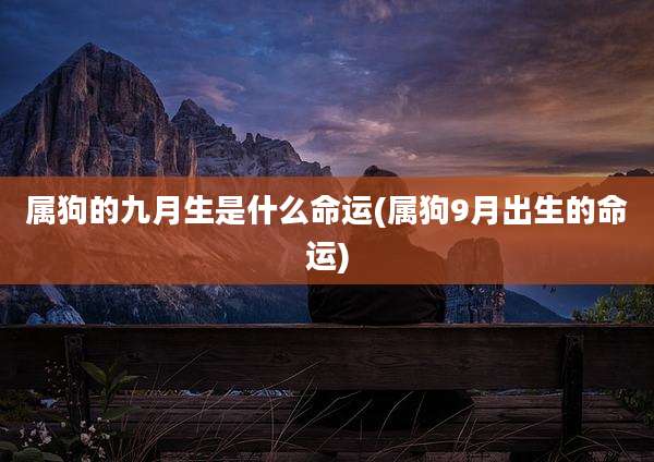 属狗的九月生是什么命运(属狗9月出生的命运)