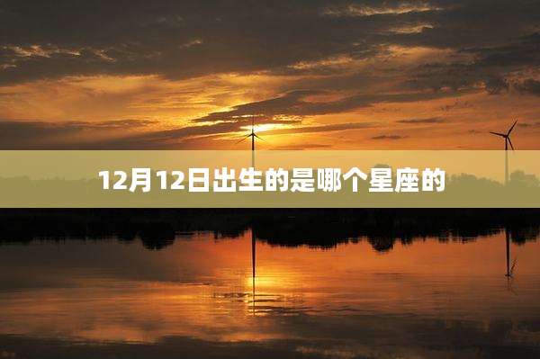 12月12日出生的是哪个星座的