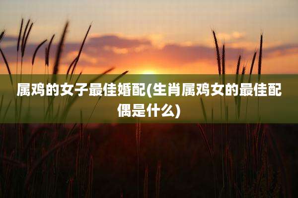 属鸡的女子最佳婚配(生肖属鸡女的最佳配偶是什么)