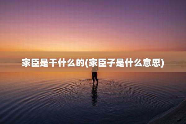 家臣是干什么的(家臣子是什么意思)