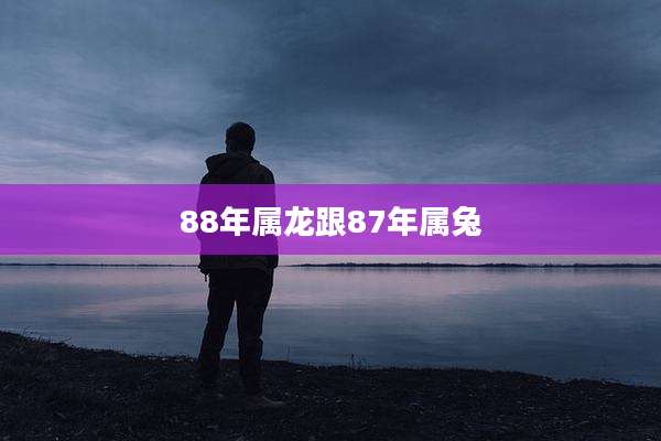 88年属龙跟87年属兔
