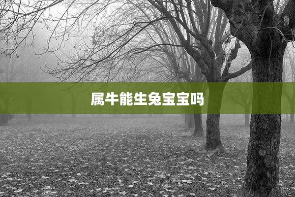 属牛能生兔宝宝吗