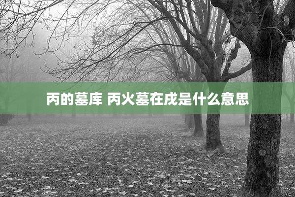 丙的墓库 丙火墓在戌是什么意思