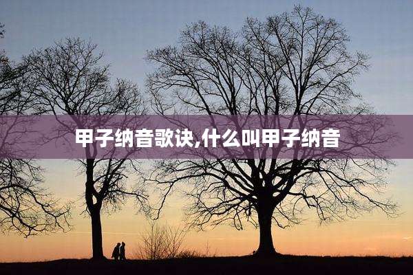 甲子纳音歌诀,什么叫甲子纳音