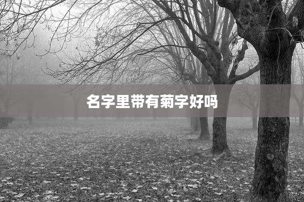 名字里带有菊字好吗