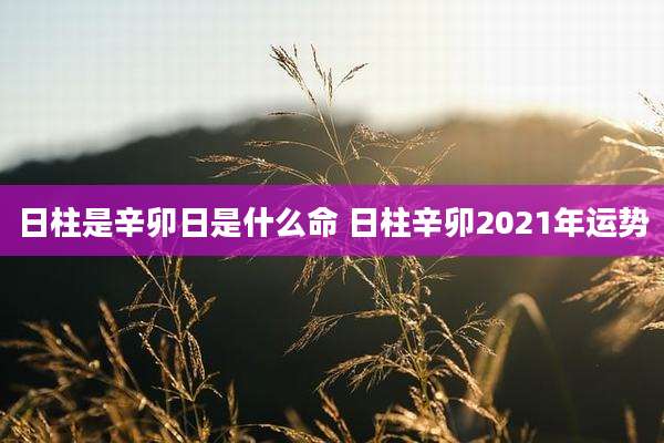 日柱是辛卯日是什么命 日柱辛卯2021年运势