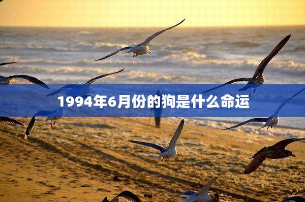 1994年6月份的狗是什么命运
