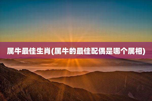 属牛最佳生肖(属牛的最佳配偶是哪个属相)