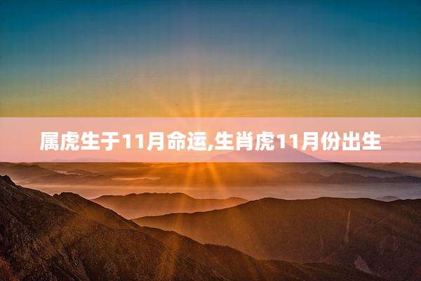 属虎生于11月命运,生肖虎11月份出生