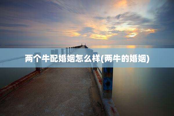 两个牛配婚姻怎么样(两牛的婚姻)