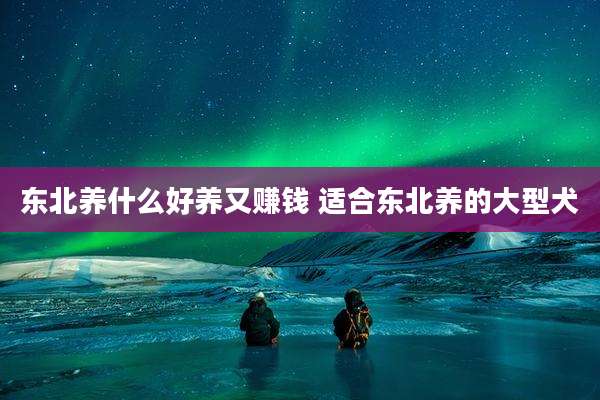 东北养什么好养又赚钱 适合东北养的大型犬