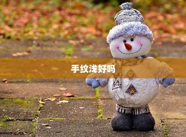手纹浅好吗