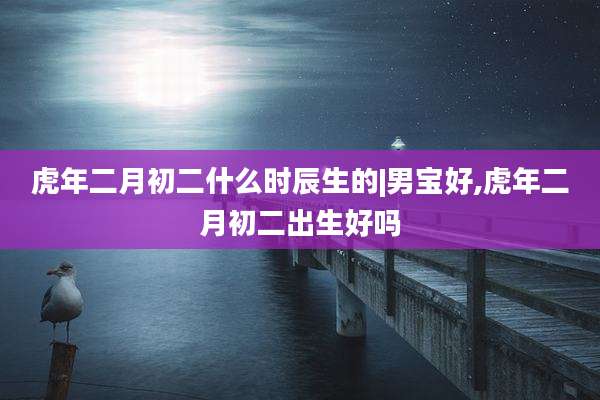 虎年二月初二什么时辰生的|男宝好,虎年二月初二出生好吗
