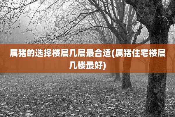 属猪的选择楼层几层最合适(属猪住宅楼层几楼最好)