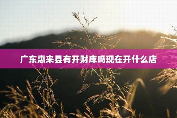 广东惠来县有开财库吗现在开什么店