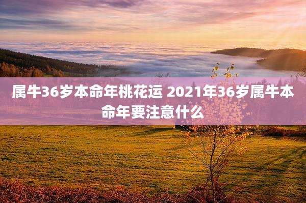 属牛36岁本命年桃花运 2021年36岁属牛本命年要注意什么