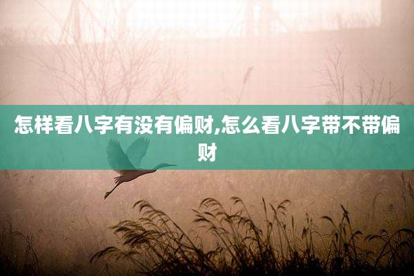 怎样看八字有没有偏财,怎么看八字带不带偏财