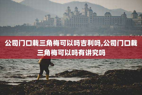 公司门口栽三角梅可以吗吉利吗,公司门口栽三角梅可以吗有讲究吗