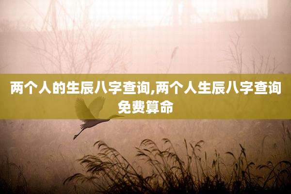 两个人的生辰八字查询,两个人生辰八字查询免费算命