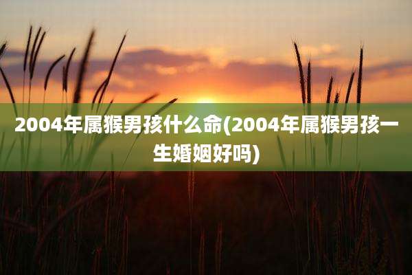 2004年属猴男孩什么命(2004年属猴男孩一生婚姻好吗)