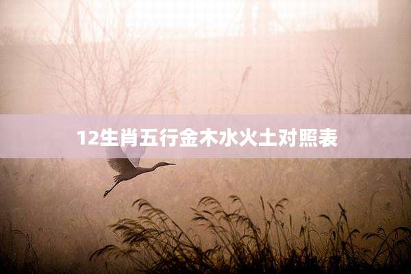 12生肖五行金木水火土对照表