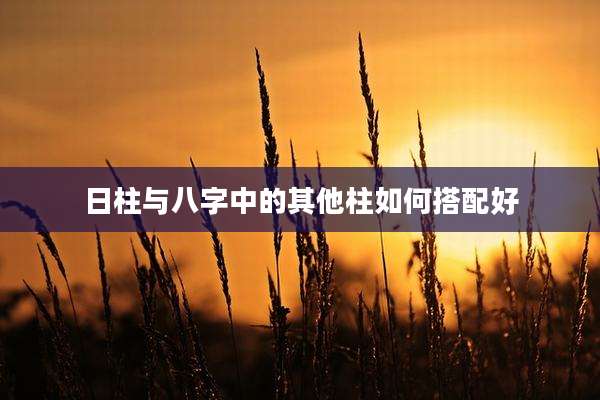日柱与八字中的其他柱如何搭配好