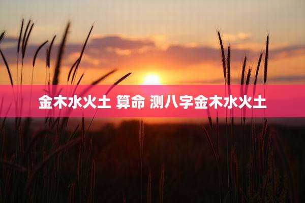 金木水火土 算命 测八字金木水火土