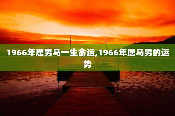 1966年属男马一生命运,1966年属马男的运势