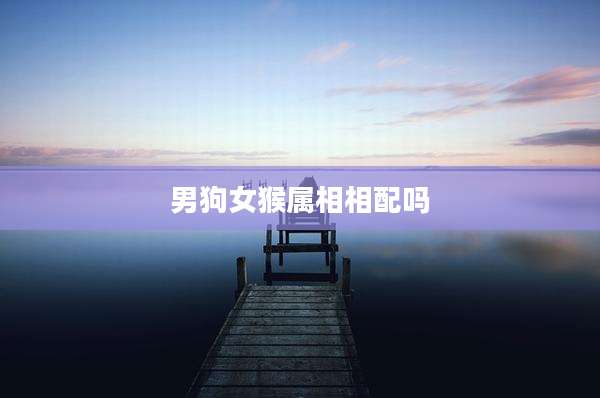 男狗女猴属相相配吗