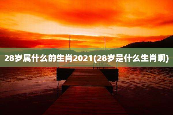 28岁属什么的生肖2021(28岁是什么生肖啊)