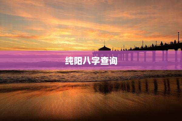 纯阳八字查询