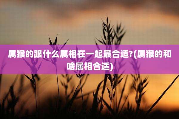 属猴的跟什么属相在一起最合适?(属猴的和啥属相合适)