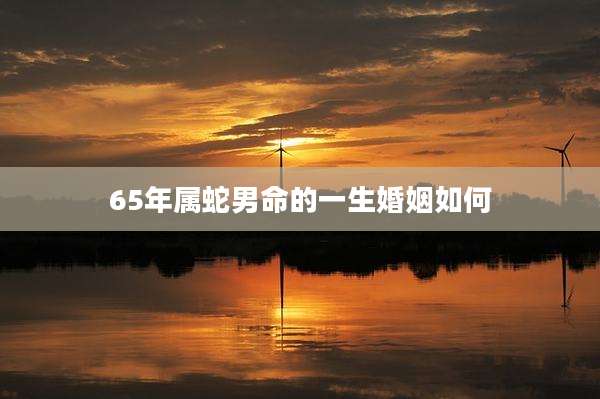 65年属蛇男命的一生婚姻如何