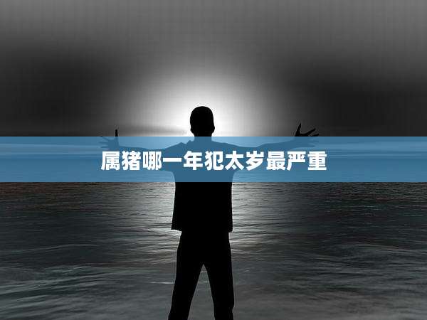 属猪哪一年犯太岁最严重