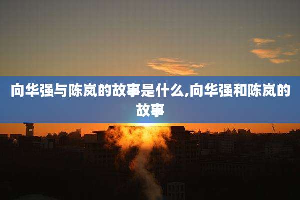 向华强与陈岚的故事是什么,向华强和陈岚的故事