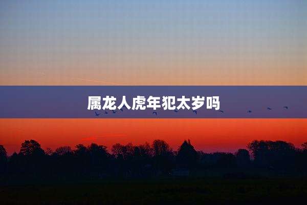 属龙人虎年犯太岁吗