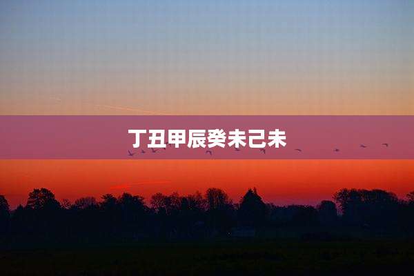 丁丑甲辰癸未己未