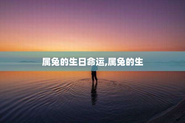 属兔的生日命运,属兔的生