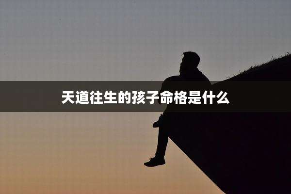 天道往生的孩子命格是什么