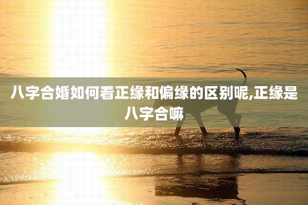八字合婚如何看正缘和偏缘的区别呢,正缘是八字合嘛