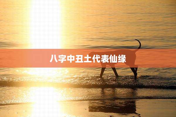 八字中丑土代表仙缘