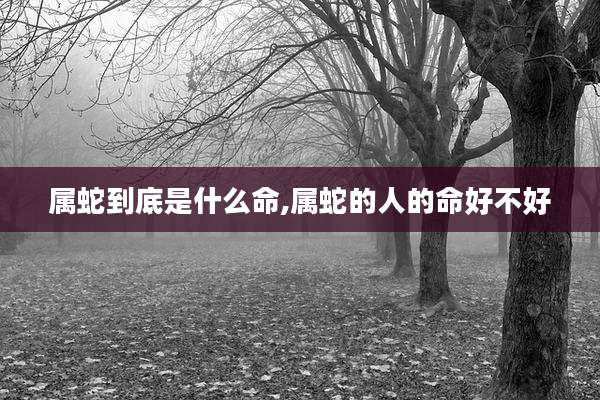 属蛇到底是什么命,属蛇的人的命好不好