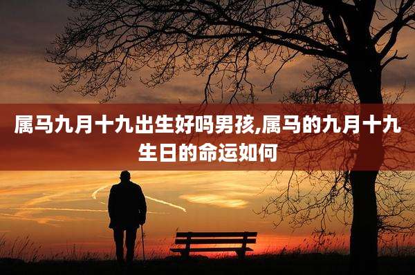 属马九月十九出生好吗男孩,属马的九月十九生日的命运如何