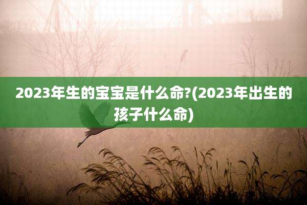 2023年生的宝宝是什么命?(2023年出生的孩子什么命)