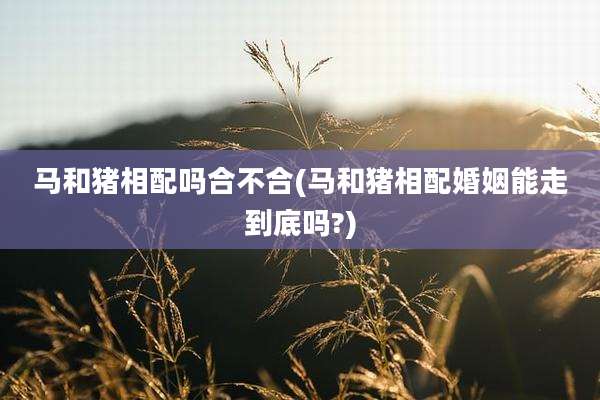 马和猪相配吗合不合(马和猪相配婚姻能走到底吗?)