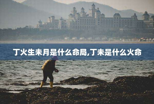 丁火生未月是什么命局,丁未是什么火命