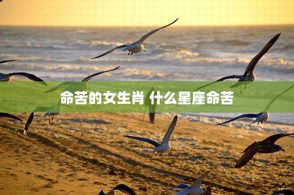 命苦的女生肖 什么星座命苦