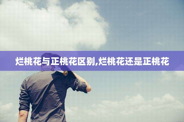 烂桃花与正桃花区别,烂桃花还是正桃花