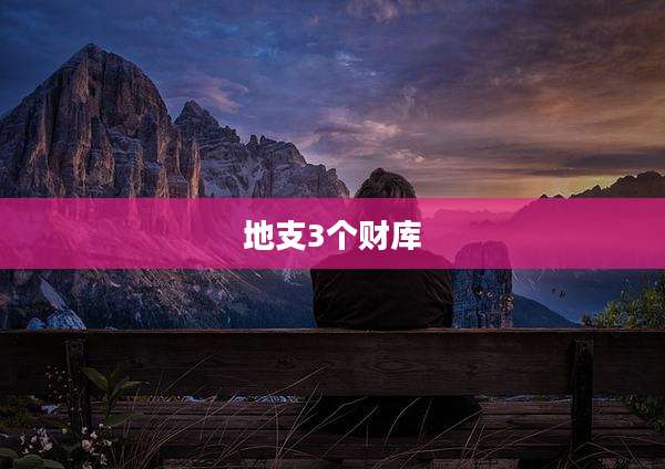 地支3个财库